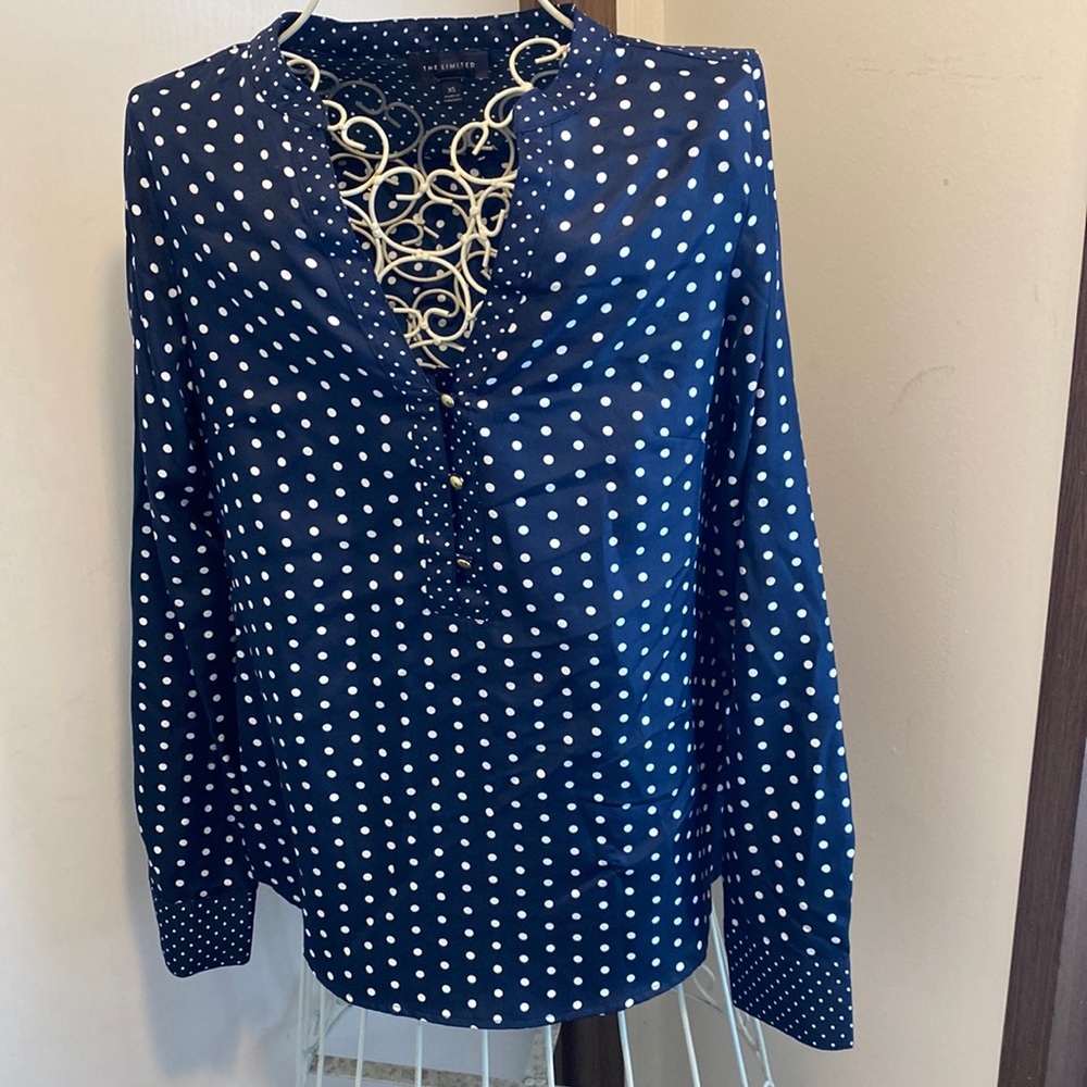 The limited blouse